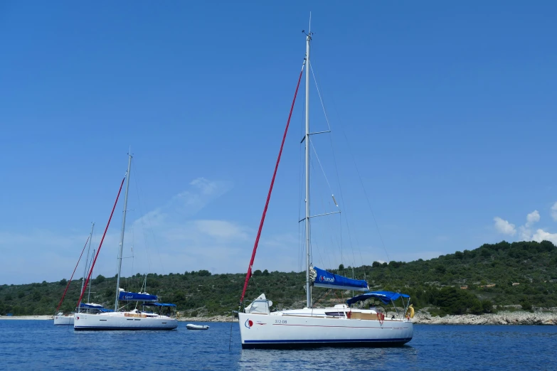 three boats are in the water with trees behind them