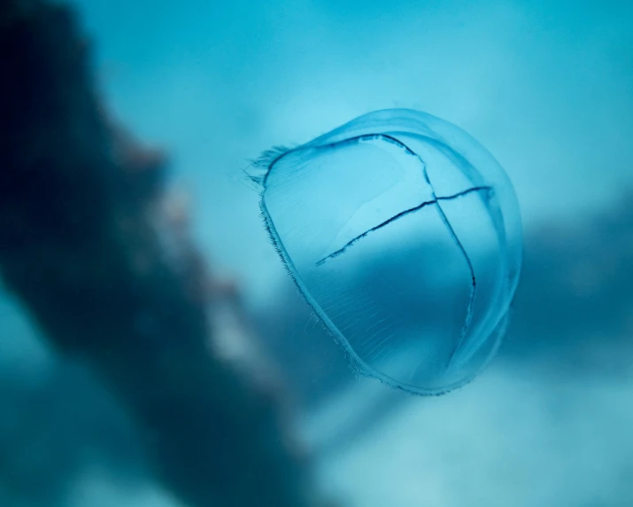 the inside of a blue umbrella under water