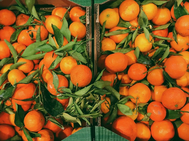 several boxes of tangerines are open with one opened