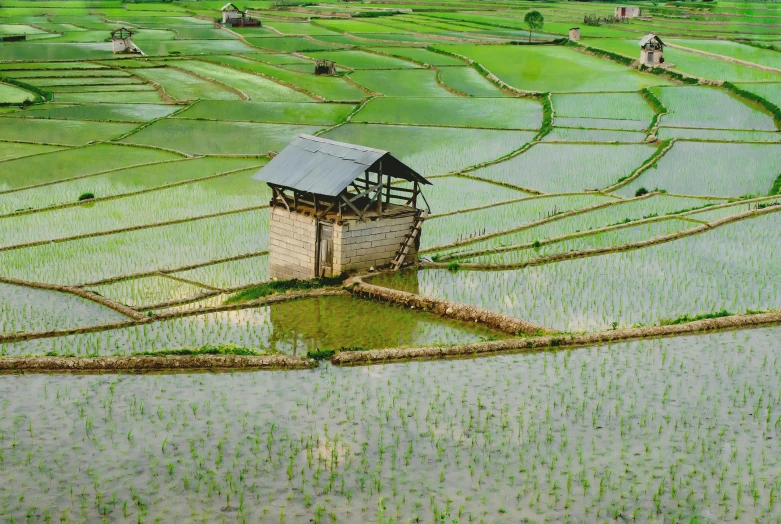 a very large field with a building and it's crops