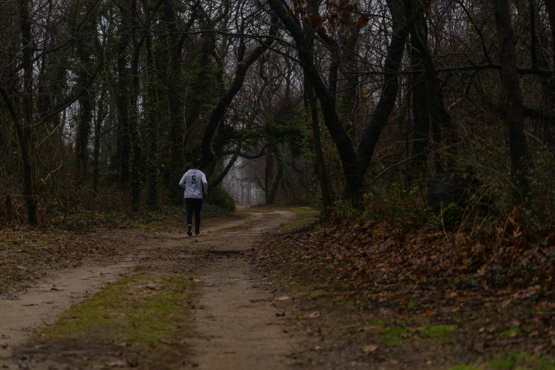 a man walking alone in the woods at night