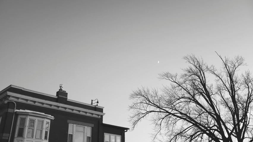 the view of a tree, building and streetlight from across the street