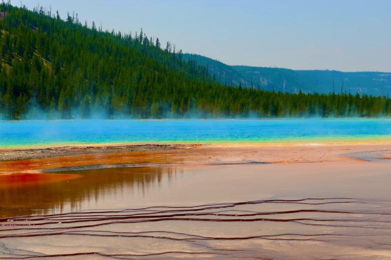 a geyser in a lake surrounded by trees