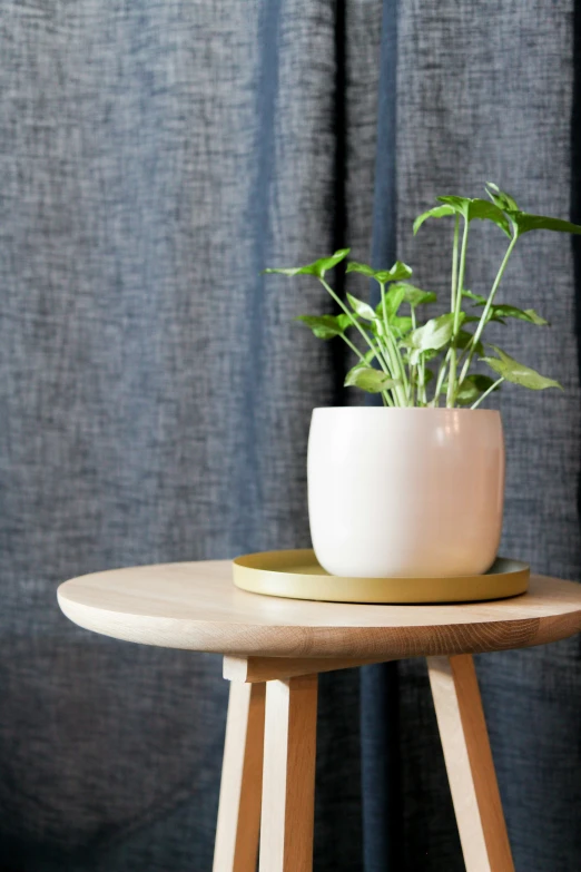 a potted plant is on top of a small table