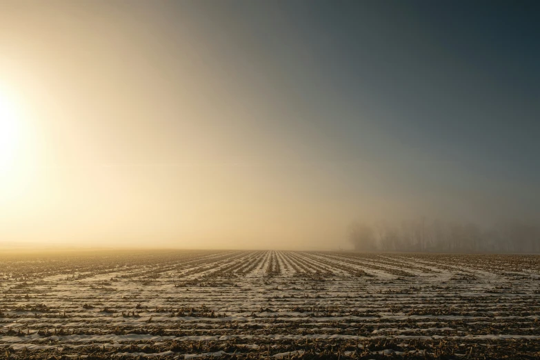 a person riding on the back of a horse through a field