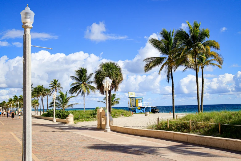 a group of trees and people on a beach