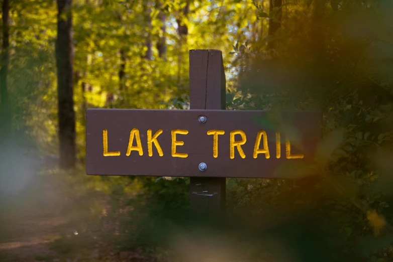 the sign is in the woods near trees