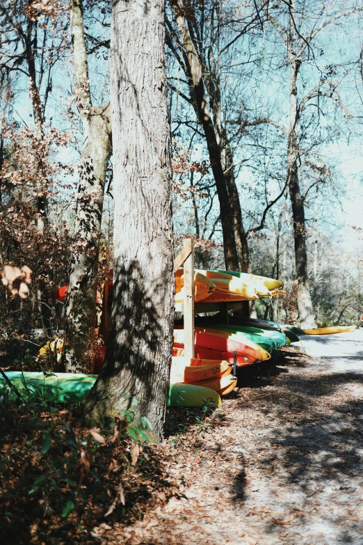 a bunch of surfboards on display in front of trees