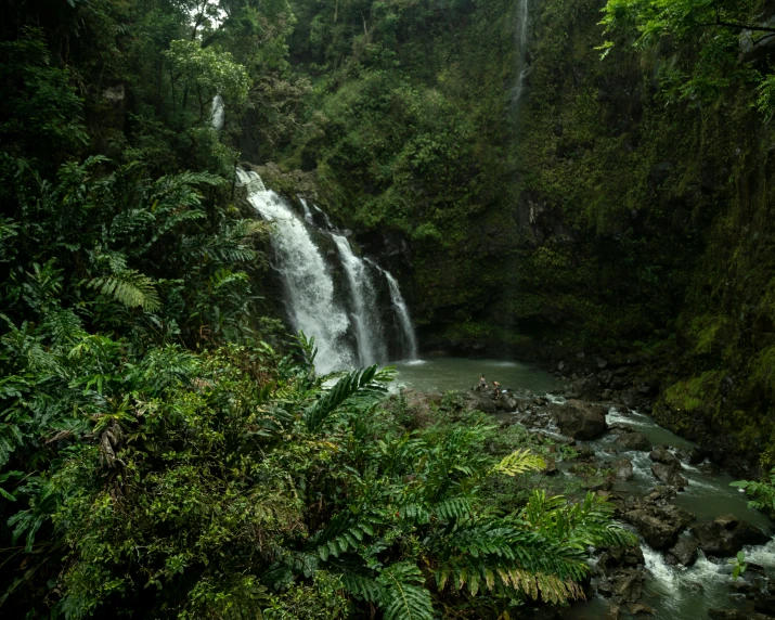 water tumbling over a waterfall into a forest