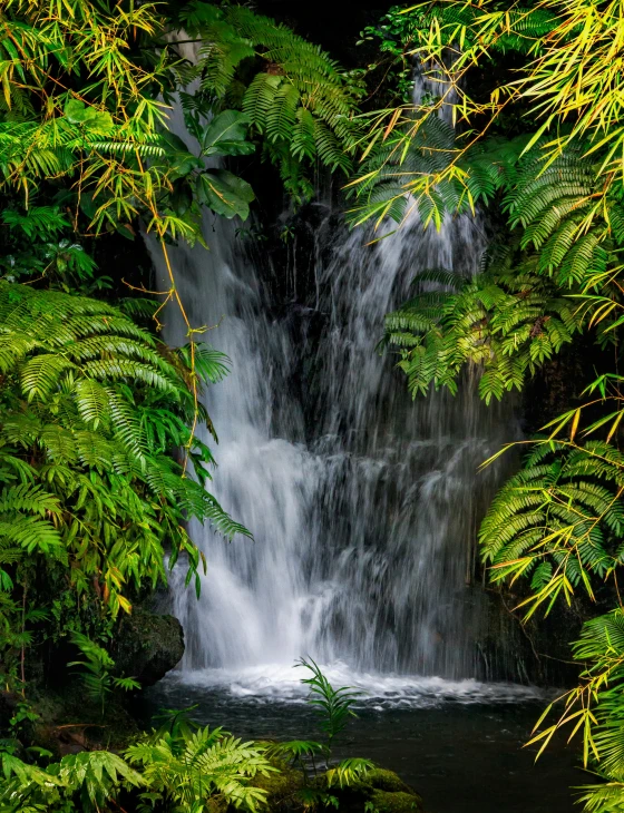 waterfall with water coming from underneath surrounded by jungle foliage