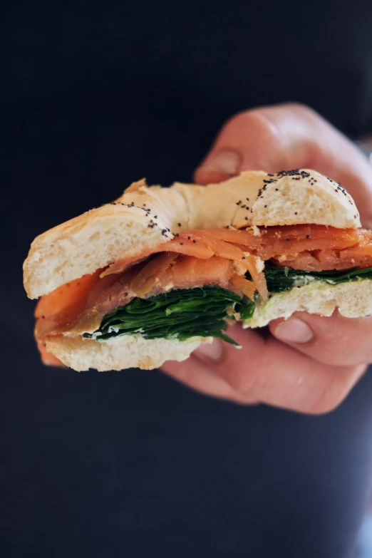 a sandwich in the hand with a variety of ingredients