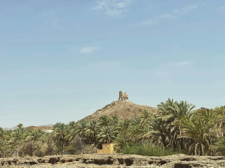 a giraffe is standing on a dirt hill