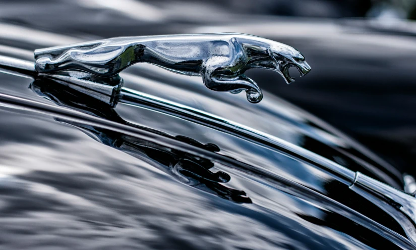 chrome hood ornament on the hood of a vehicle