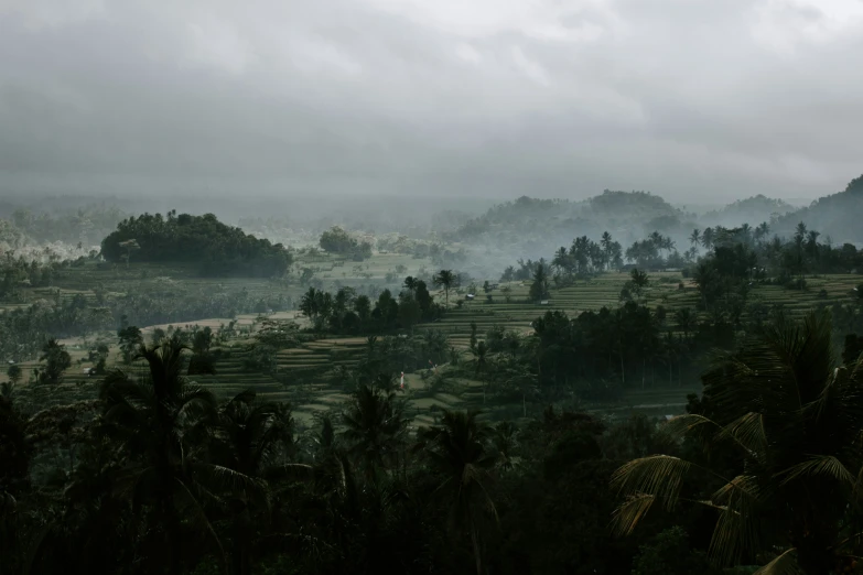 some trees bushes and hills are shown in the distance