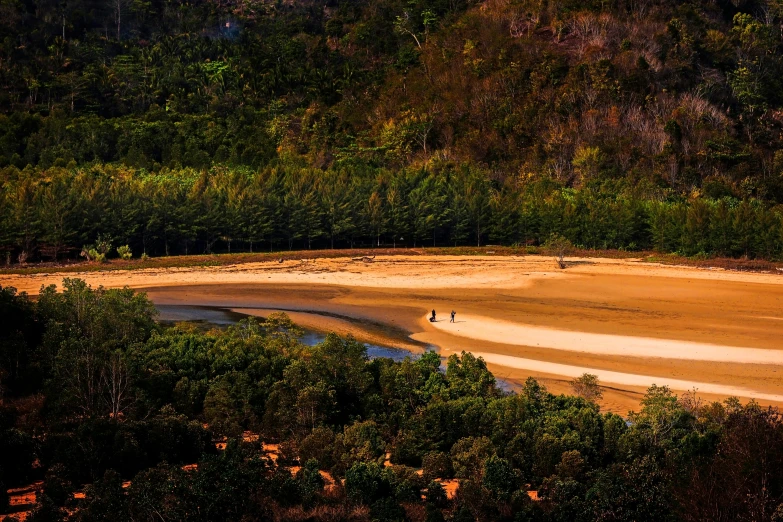 the sand in the field is brown and green