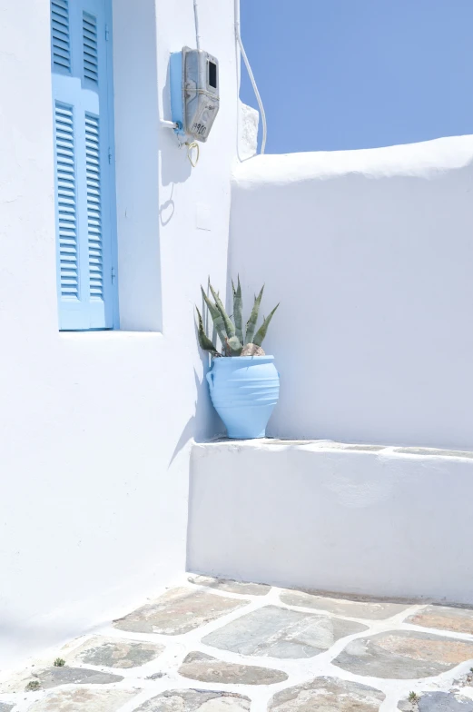 a potted plant sitting on the outside side of a house