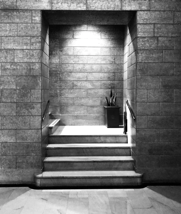 a stairway with steps to the bat leading up into a bathroom