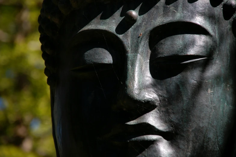 a black sculpture with green background