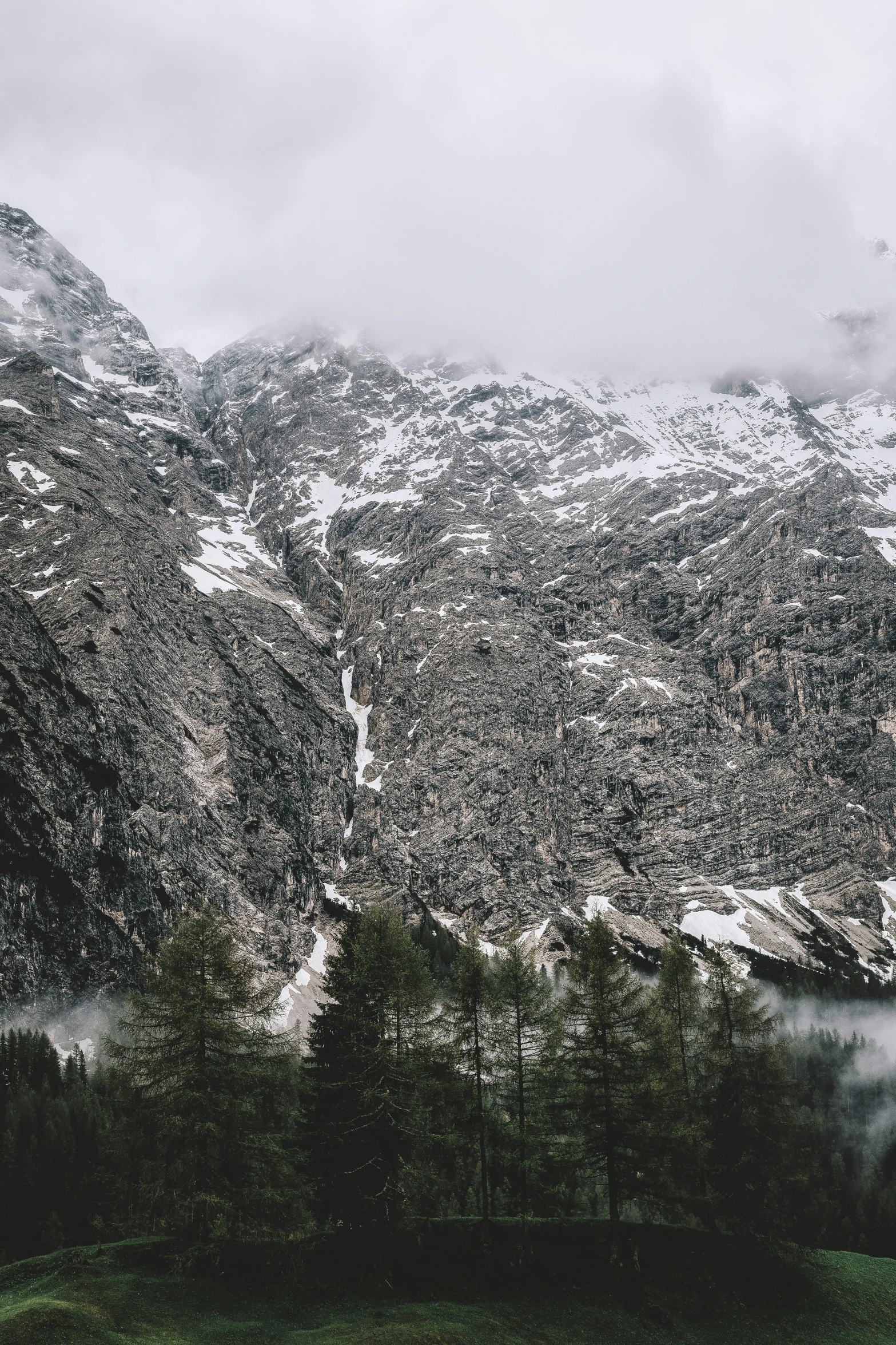 snow covered mountains are seen from the top of a grassy hill