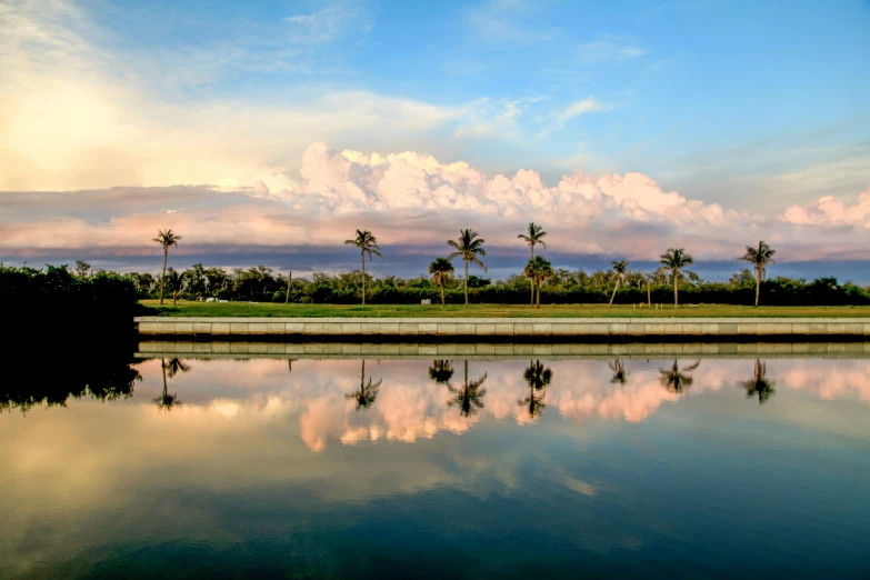 beautiful palm trees reflect in the water as clouds hovers