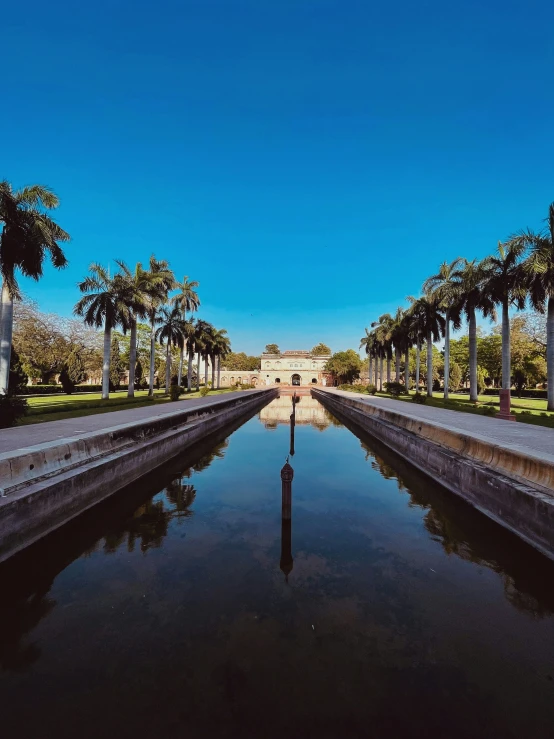 a view of a park with many trees reflecting in the water