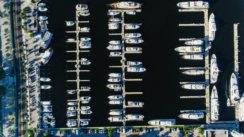 a bunch of boats in a marina near the water