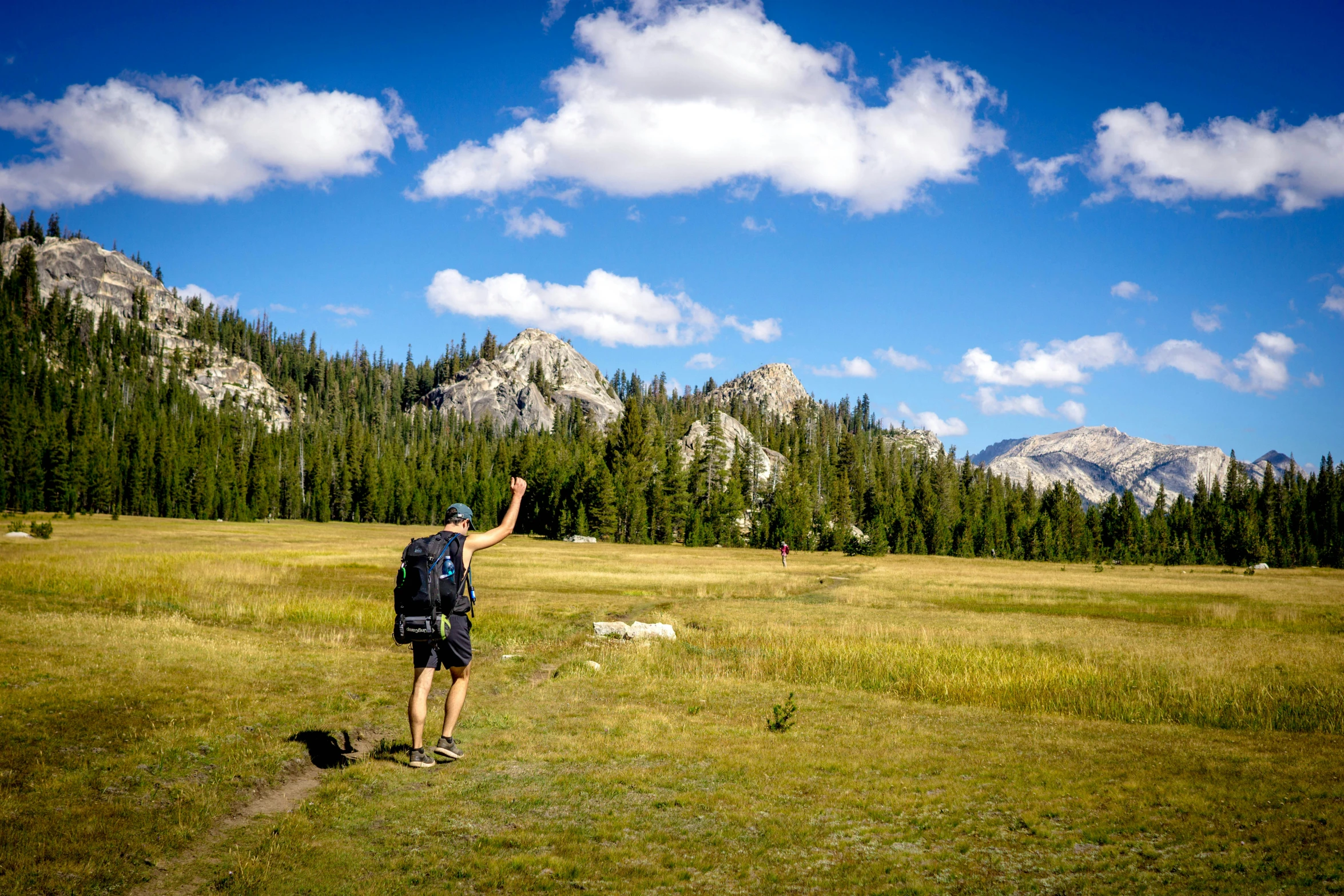 a man with a backpack flying a kite on top of a lush green field