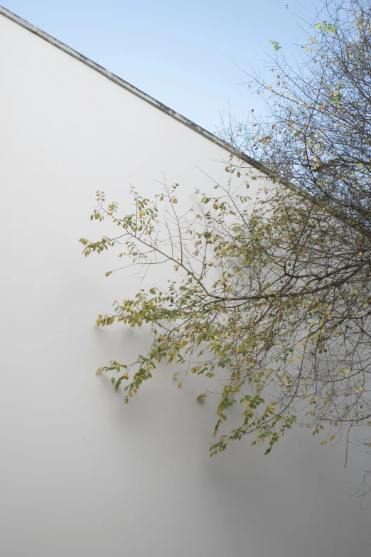 an object on the side of a building with trees in front