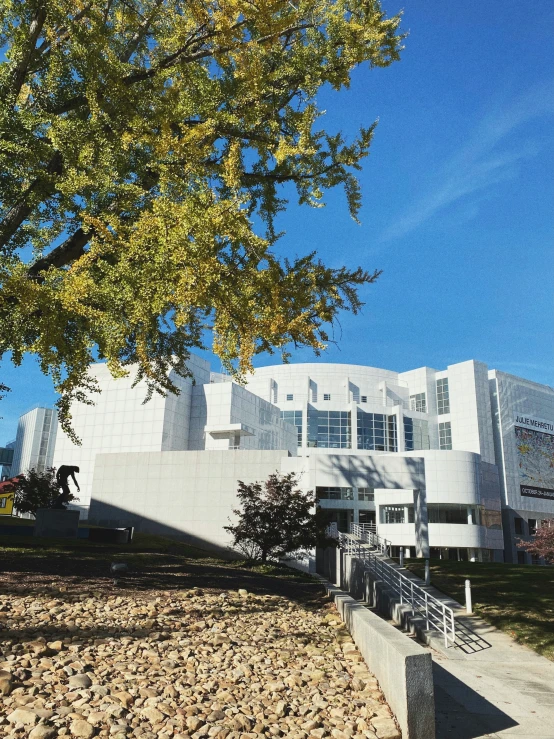 a big building sits under a leafy tree