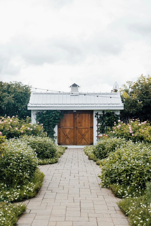 a door leading into a small building surrounded by plants