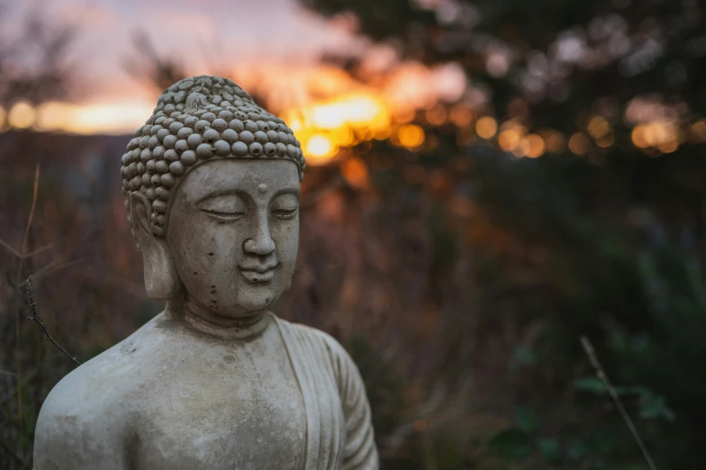 a statue of a buddha, sitting in the middle of a field