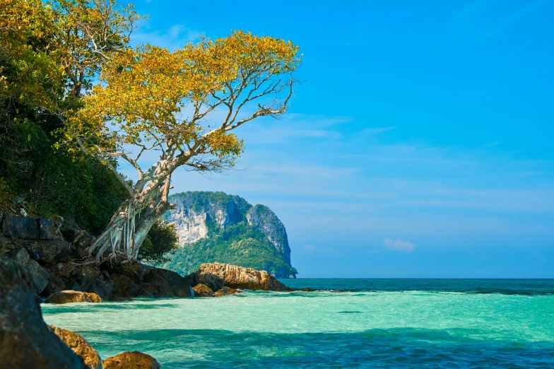 the rocks are near the beach and the water is clear