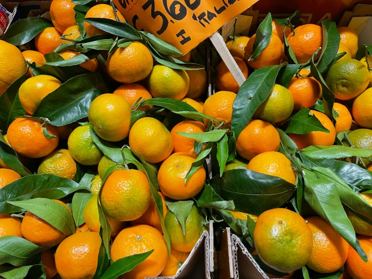 oranges are piled up in a pile together