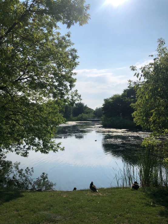 a lake with trees around it with a person sitting on it