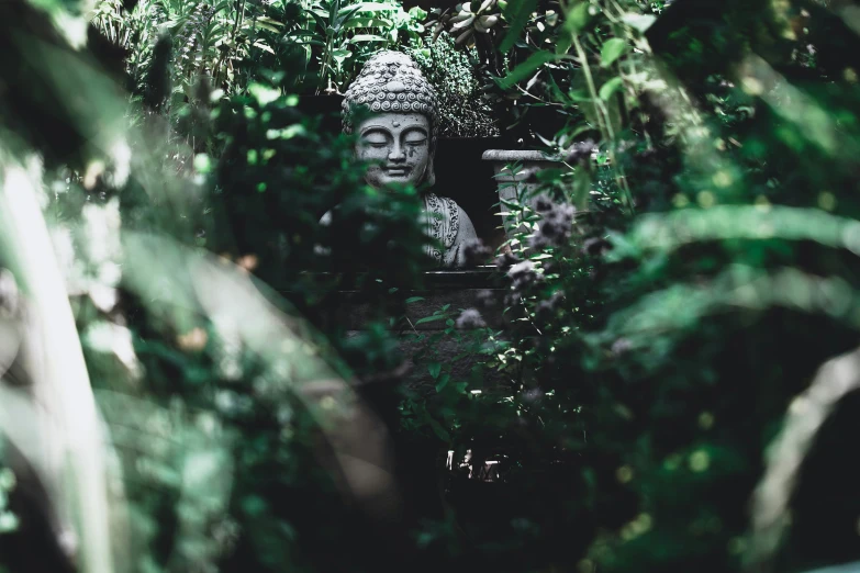 a statue surrounded by greenery in the middle of a jungle