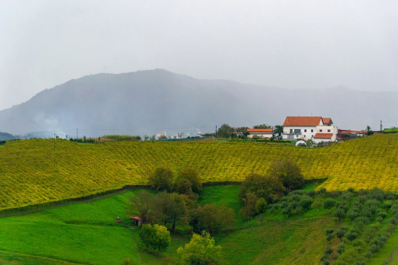 an image of a farm setting with a house