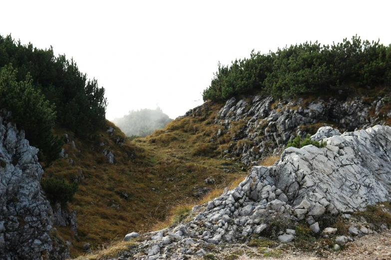 an area with a bunch of large rocks and trees