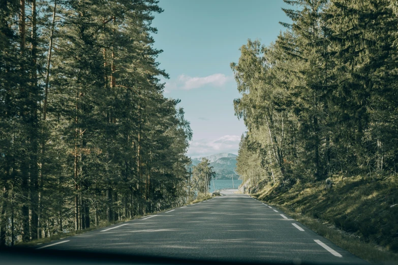 an empty road that is surrounded by pine trees