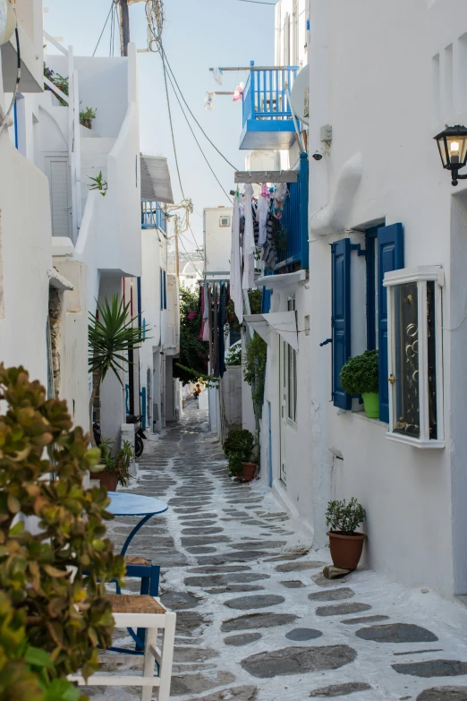 the white buildings have blue shutters and windows on them