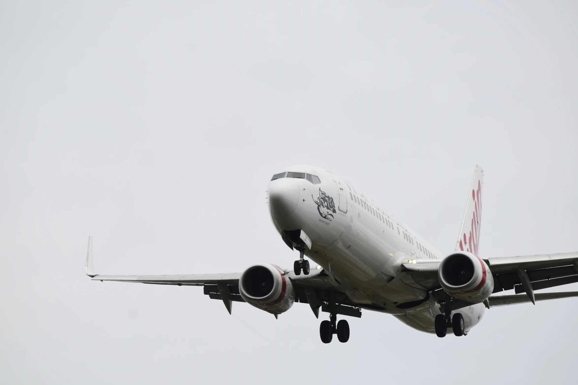 a commercial airliner in mid flight on a foggy day