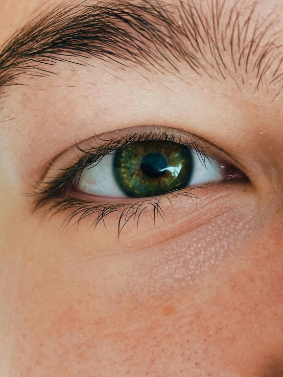 a green eye looking straight ahead with a blue iris