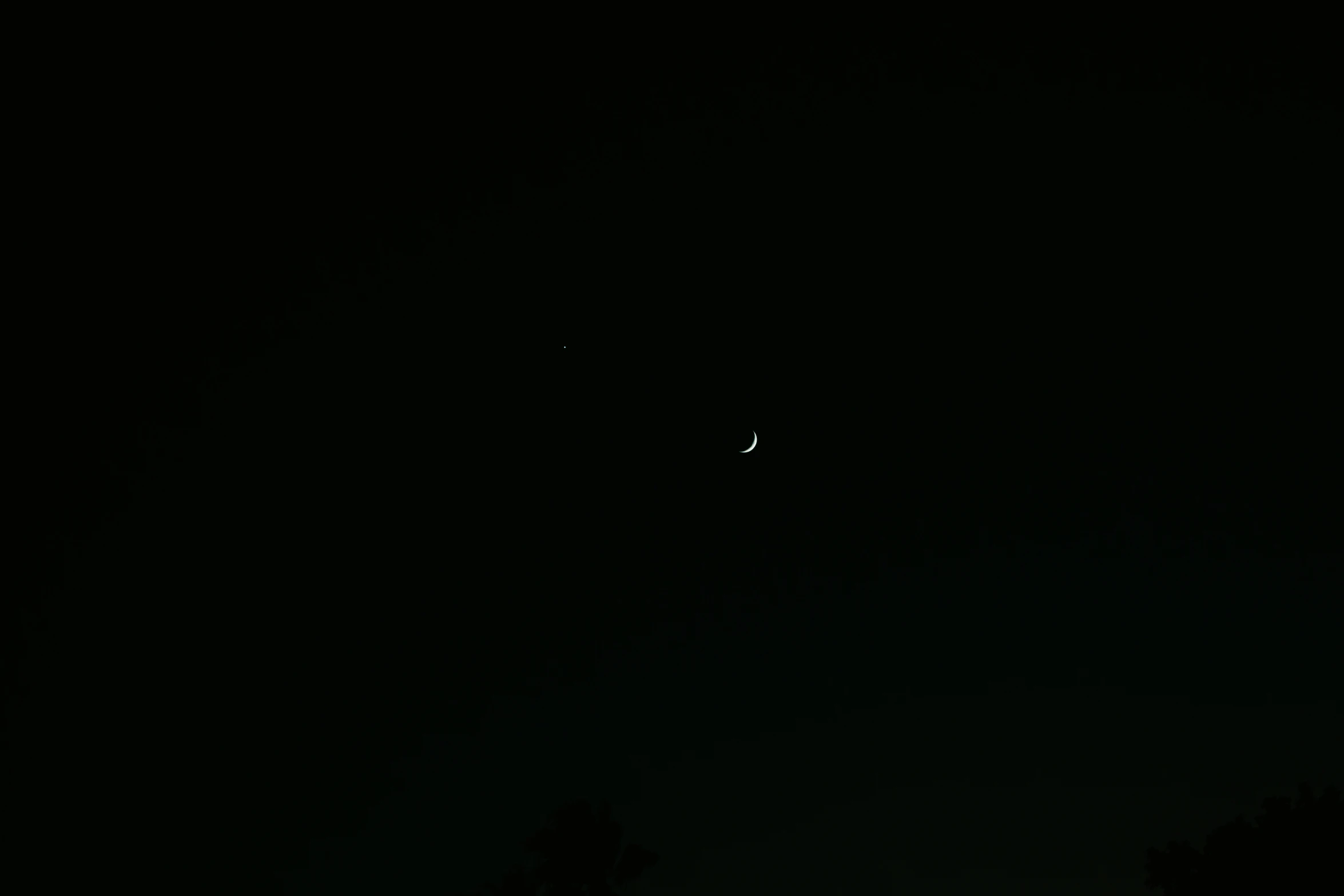 moon in dark sky with trees in foreground