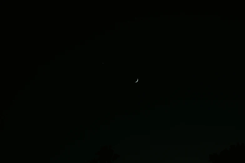 moon in dark sky with trees in foreground