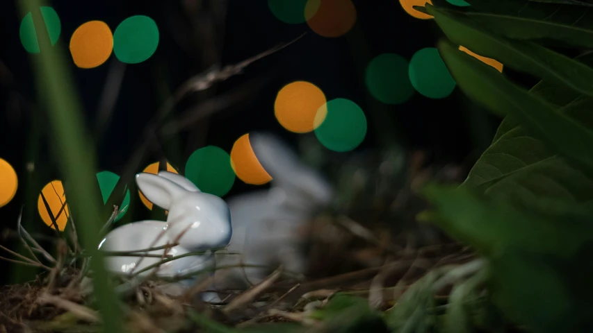 some lights that are around a rabbit and leaves