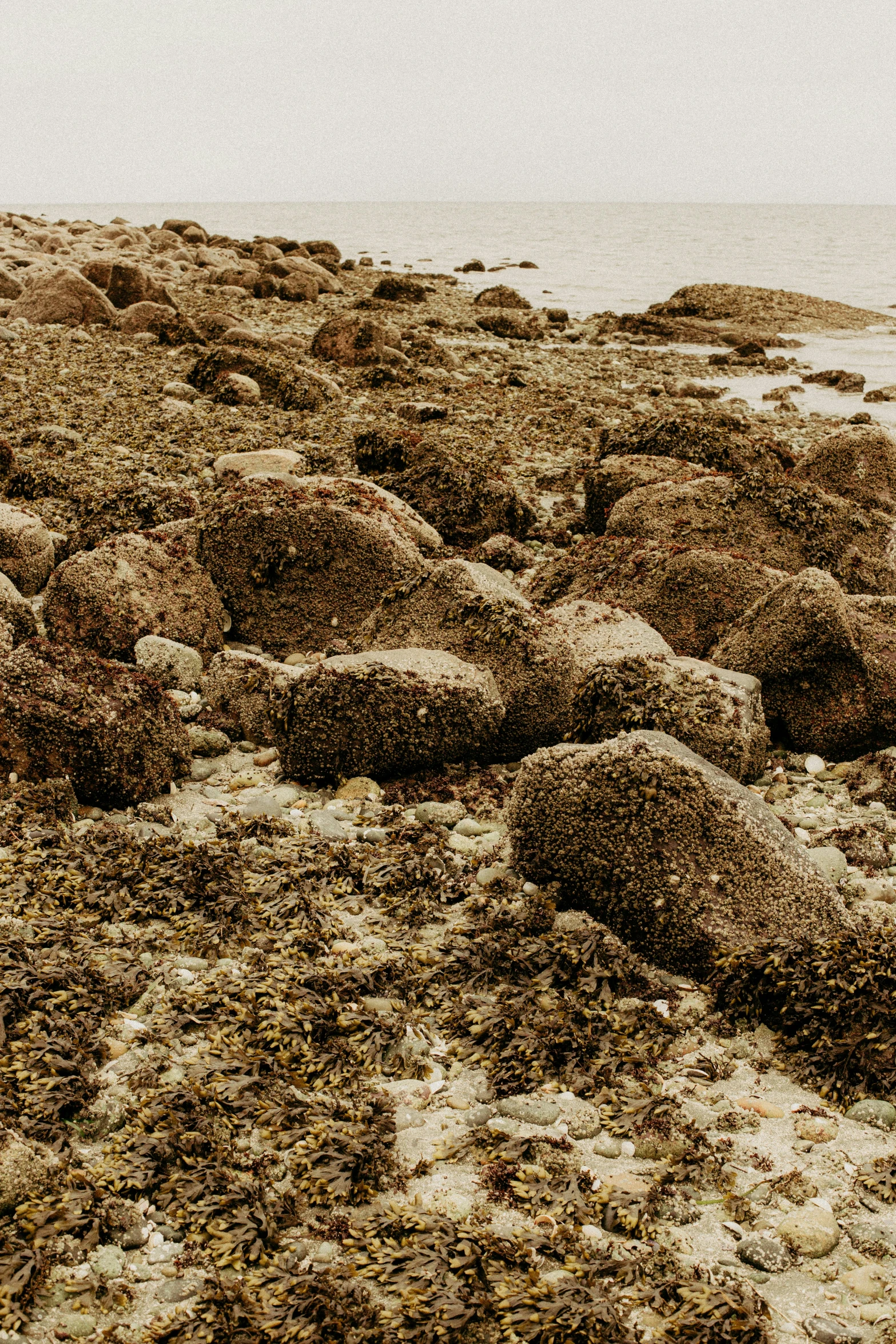 a person walking through the rocks on a beach