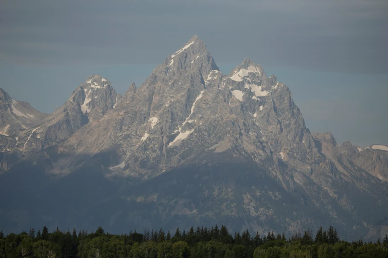 a large snowy mountain towering over a forest