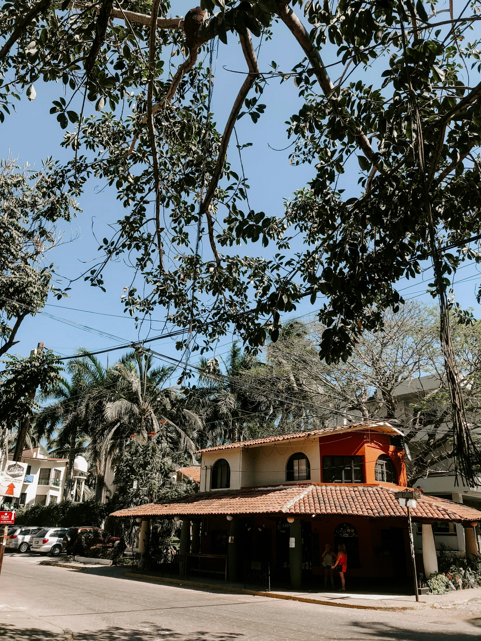 a house on a corner with lots of trees