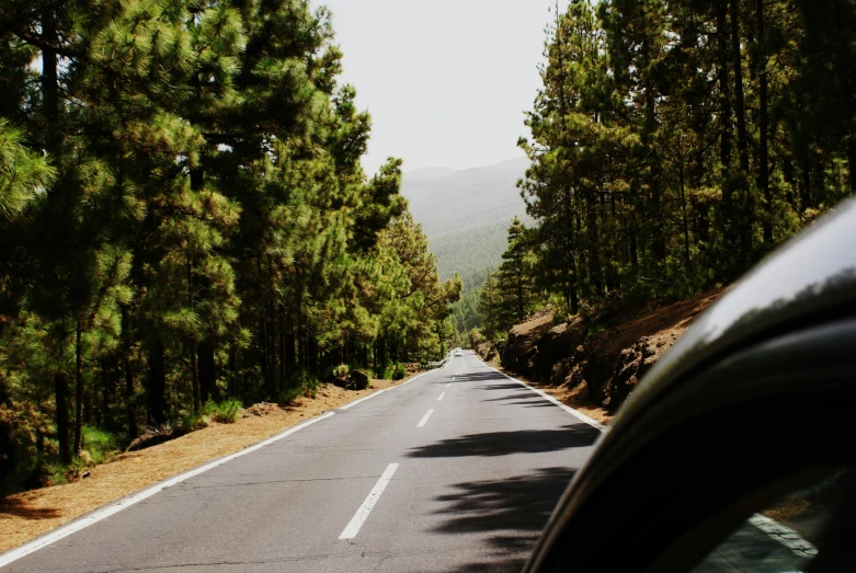 the windshield of a car driving down a road with lots of trees