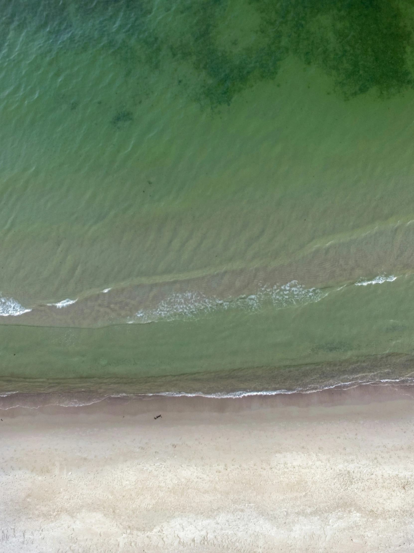 an aerial view of water and green grass