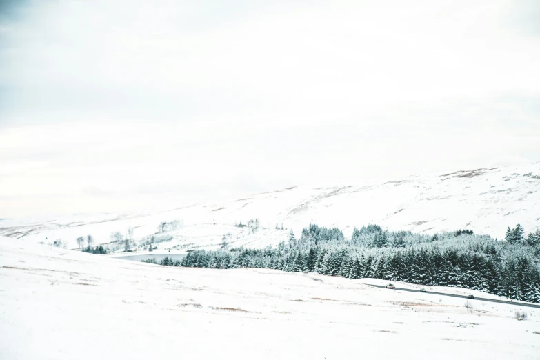 snowy mountains on a ski slope with trees